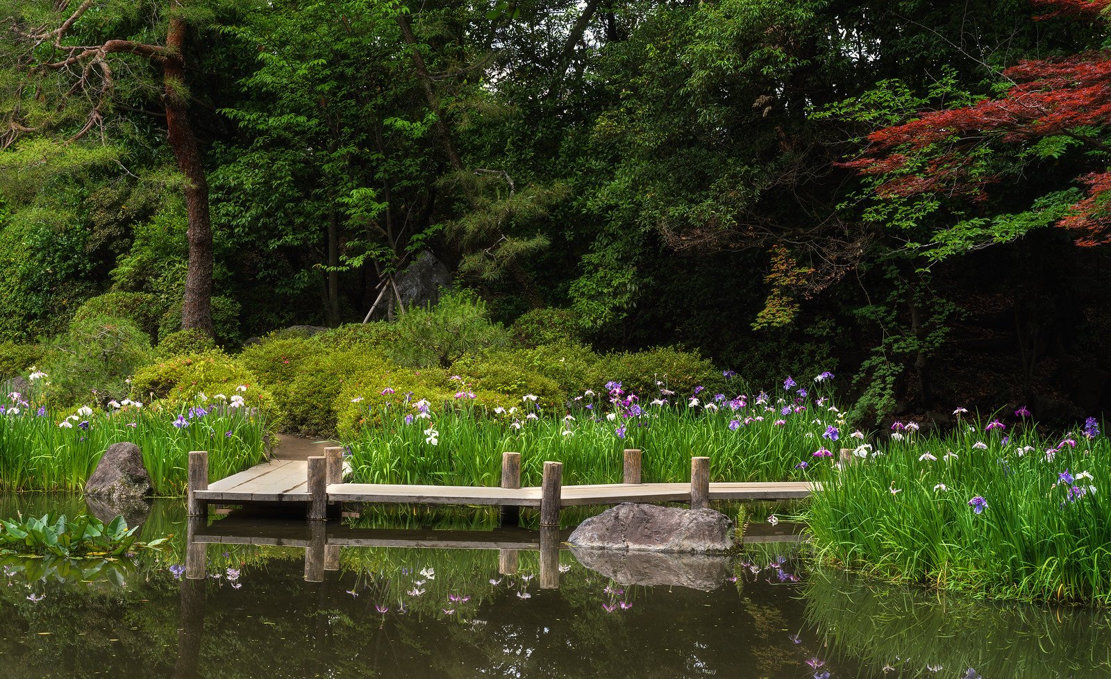 🏯 흥원사 (코겐지) 이미지 7